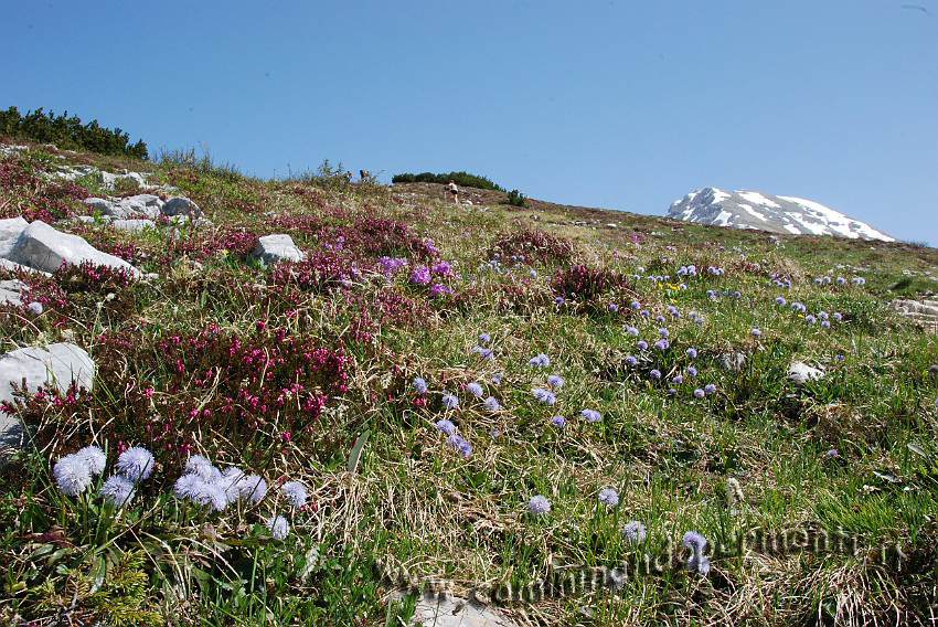 30 Sentiero Rifugio Capanna 2000.JPG